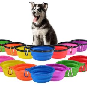 Collapsible Dog Bowl